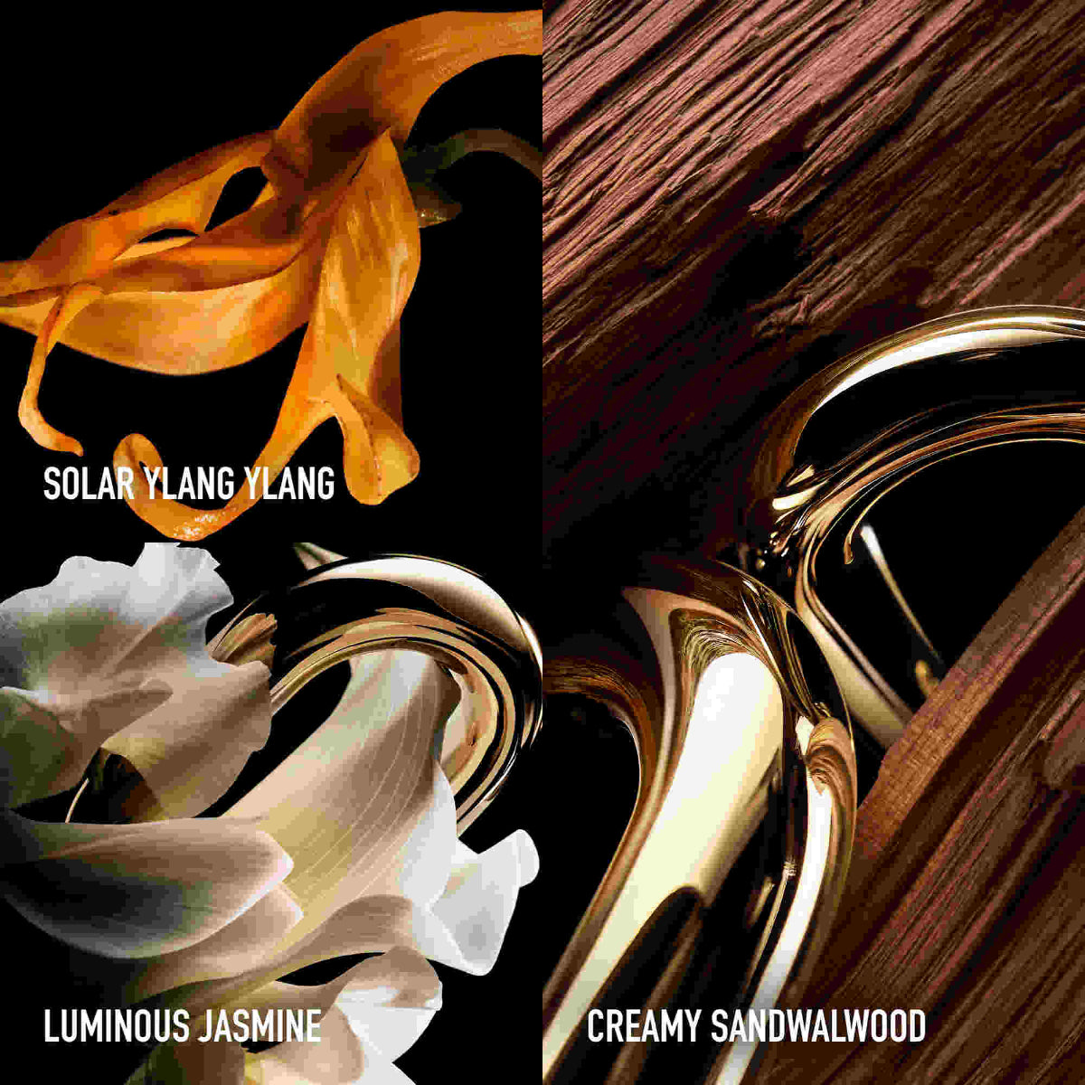 Paco Rabanne Million Gold For Her Parfum