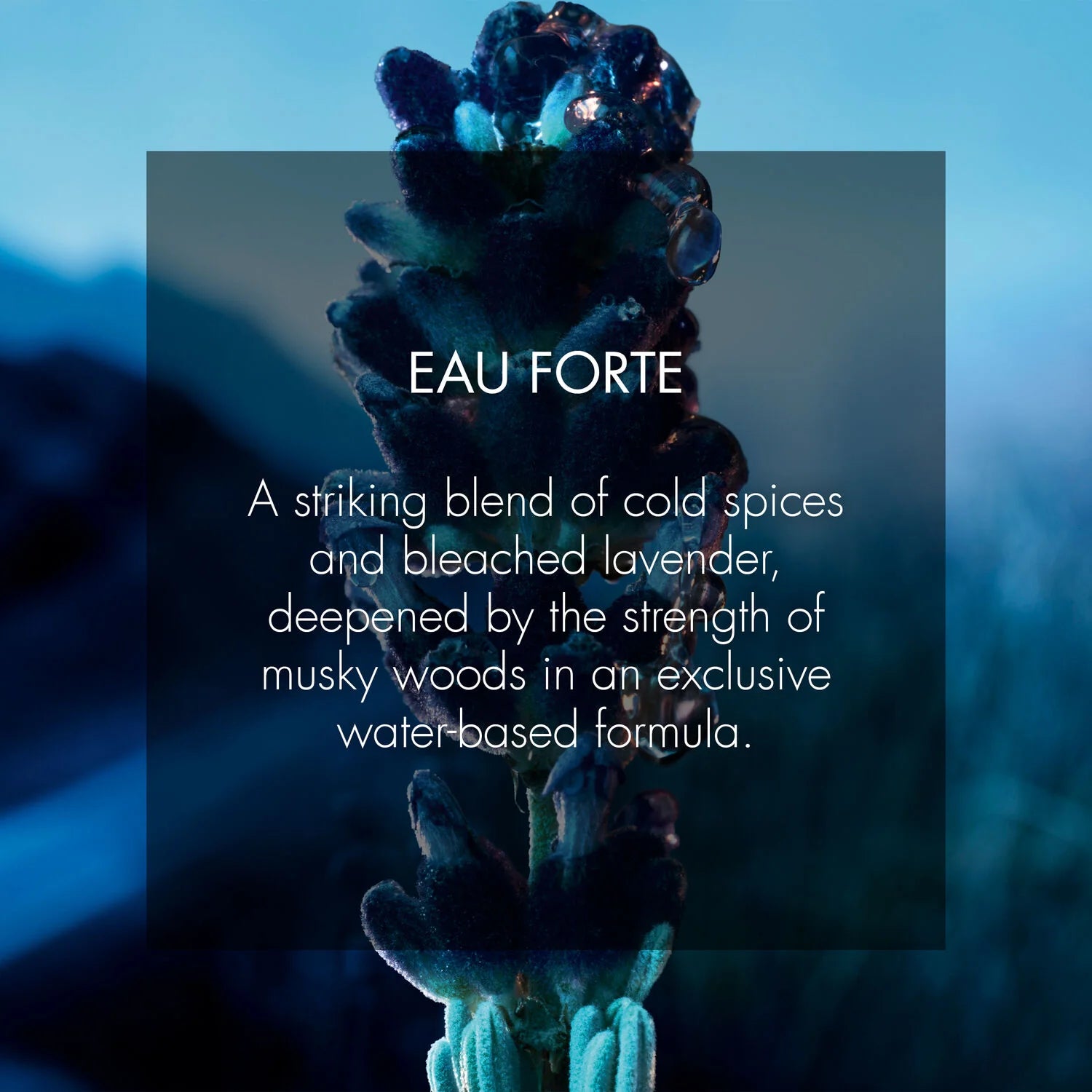 Dior Sauvage Eau Forte Parfum